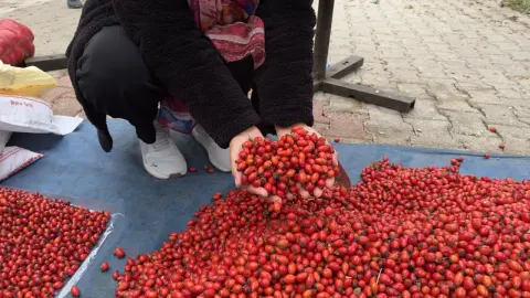 100 TL'den 50 TL'ye düştü. Demleyip içince hazımsızlığı gideriyor