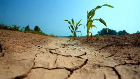 Çiftçileri yakından ilgilendiriyor! Tarımda yeni plan 2027'de devrede