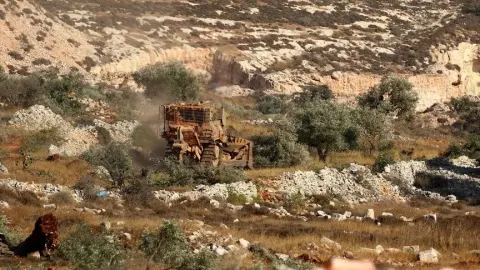Filistin topraklarını gasbeden İsrailliler, Batı Şeria'da Filistinlilerin 120 zeytin ağacına daha zarar verdi