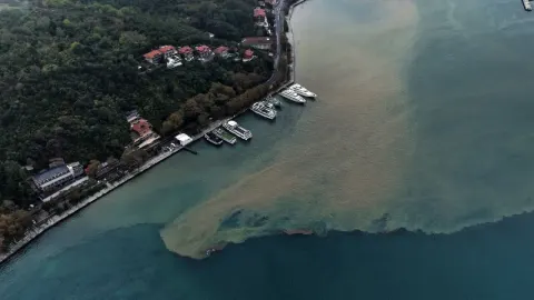 İstanbul'da yağmurun etkisiyle denizin rengi değişti