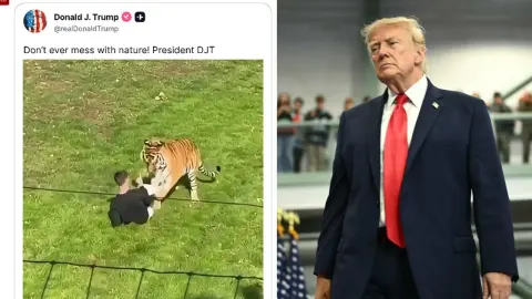 Kaplanın ziyaretçiyi öldürdüğü videoyu paylaşan Trump'a tepki yağdı