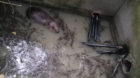 Kunduz kabloları kemirdi, bin 600 hane elektriksiz kaldı