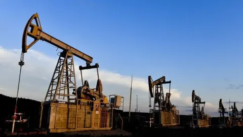 Putin, ABD'ye ve dünyaya petrol tedarik etmeye hazır olduklarını belirtti