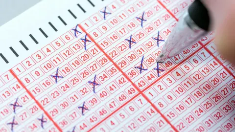 Sayısal Loto sonuçları açıklandı: Dev ikramiye sahibini buldu mu? 24 Ağustos 2026 MPİ Çılgın Sayısal Loto bilet sorgulama ekranı